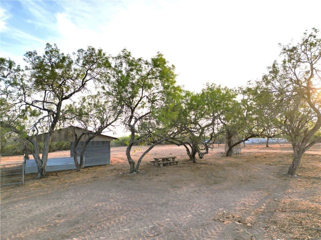 157.29 acres in Duval County - photo 5