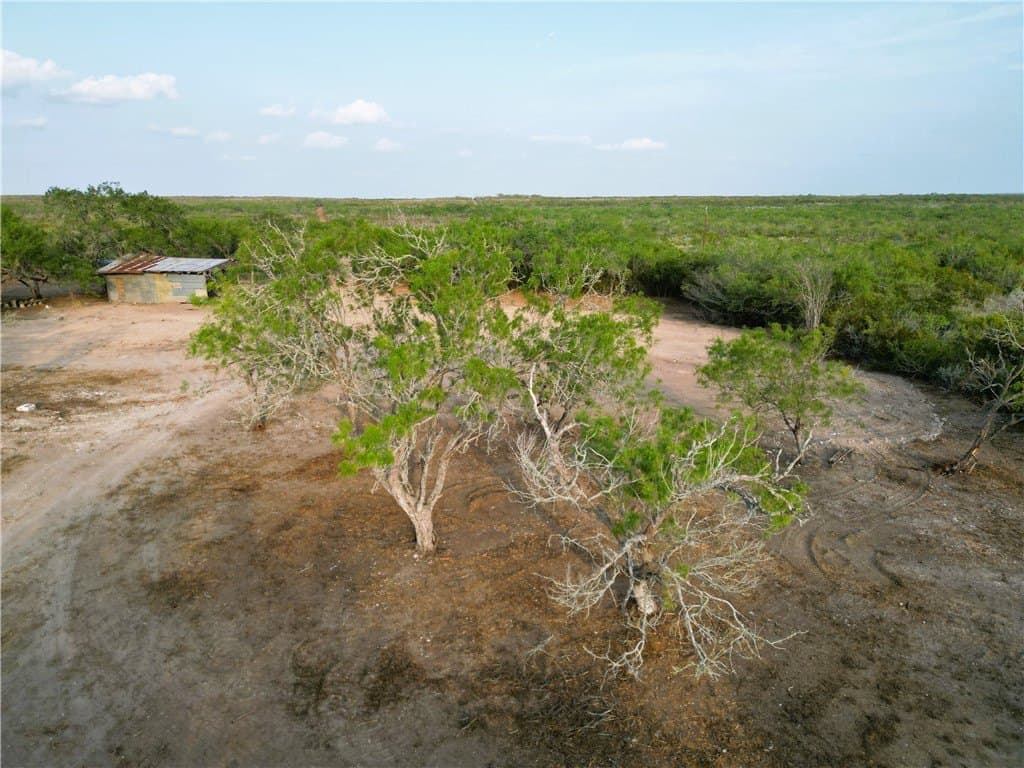 157.29 acres in Duval County - photo 11