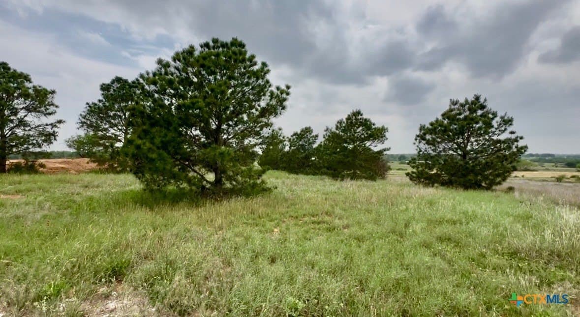 10 acres in Wilson County gallery image 2