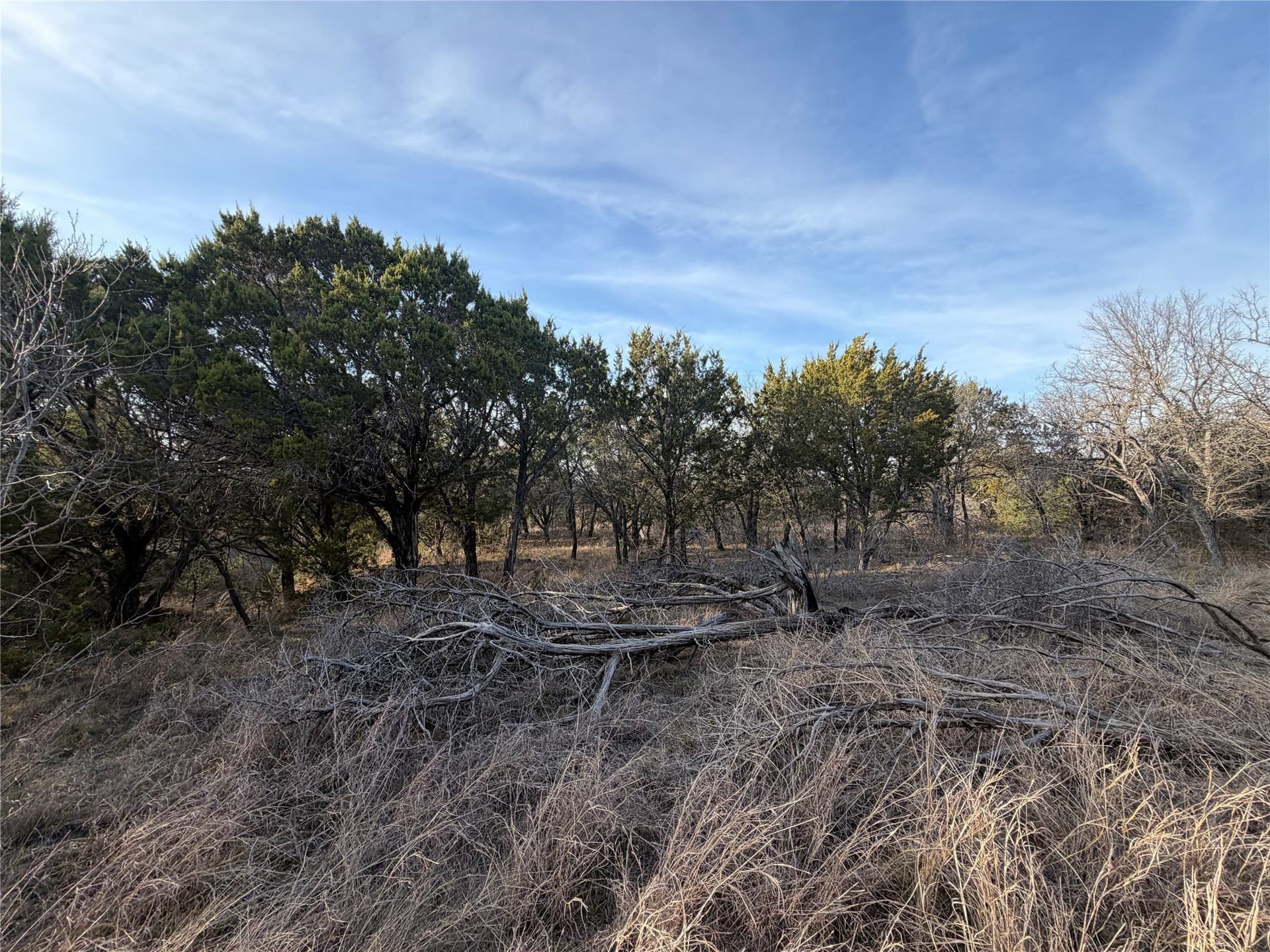 10 acres in Palo Pinto County - photo 12