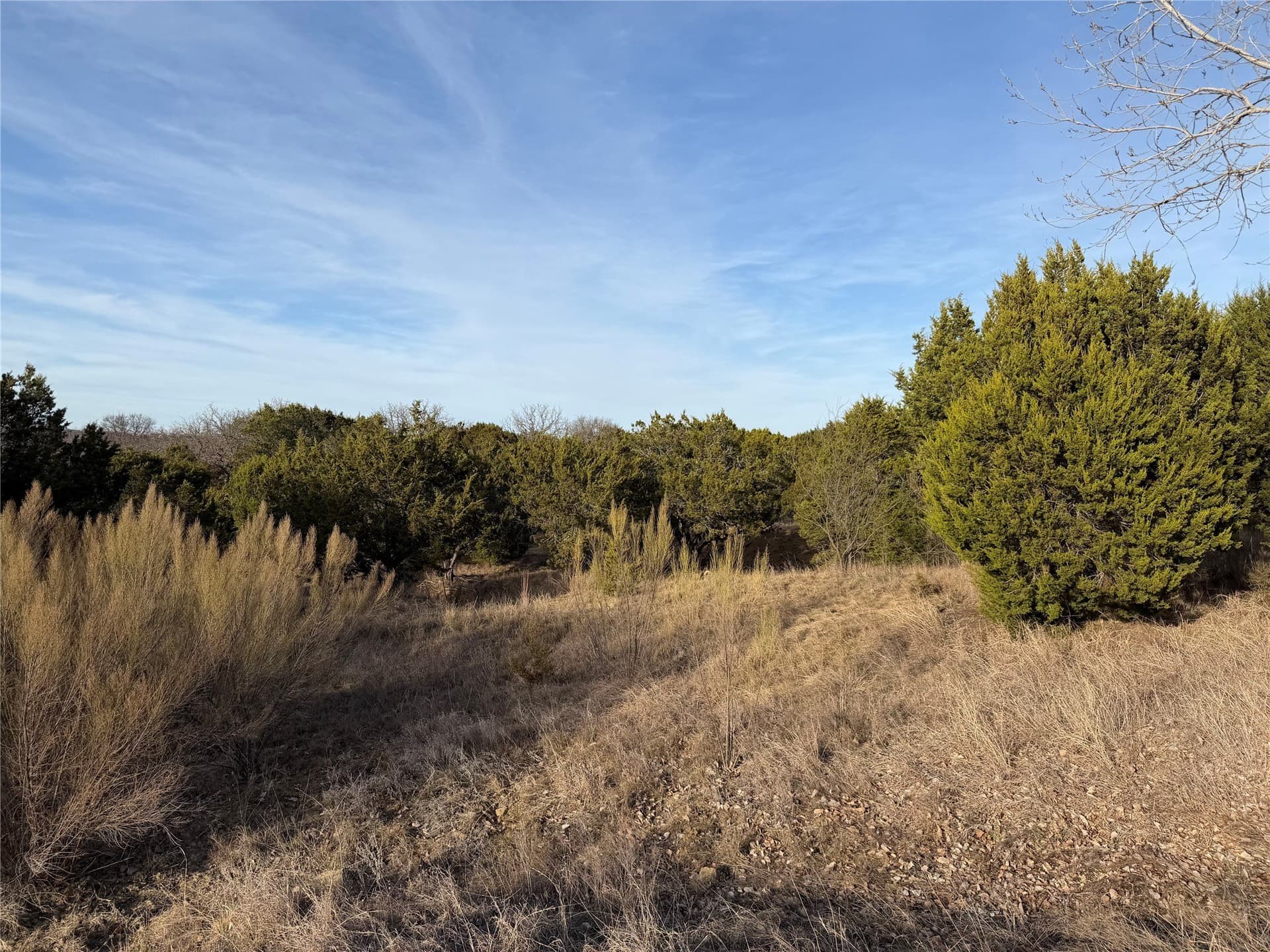 10 acres in Palo Pinto County - photo 15