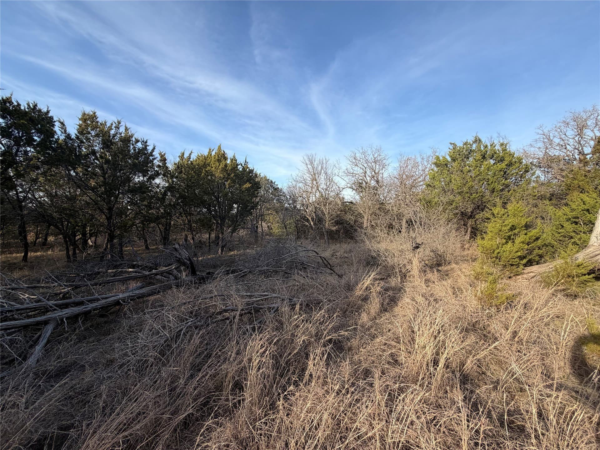 10 acres in Palo Pinto County - photo 11
