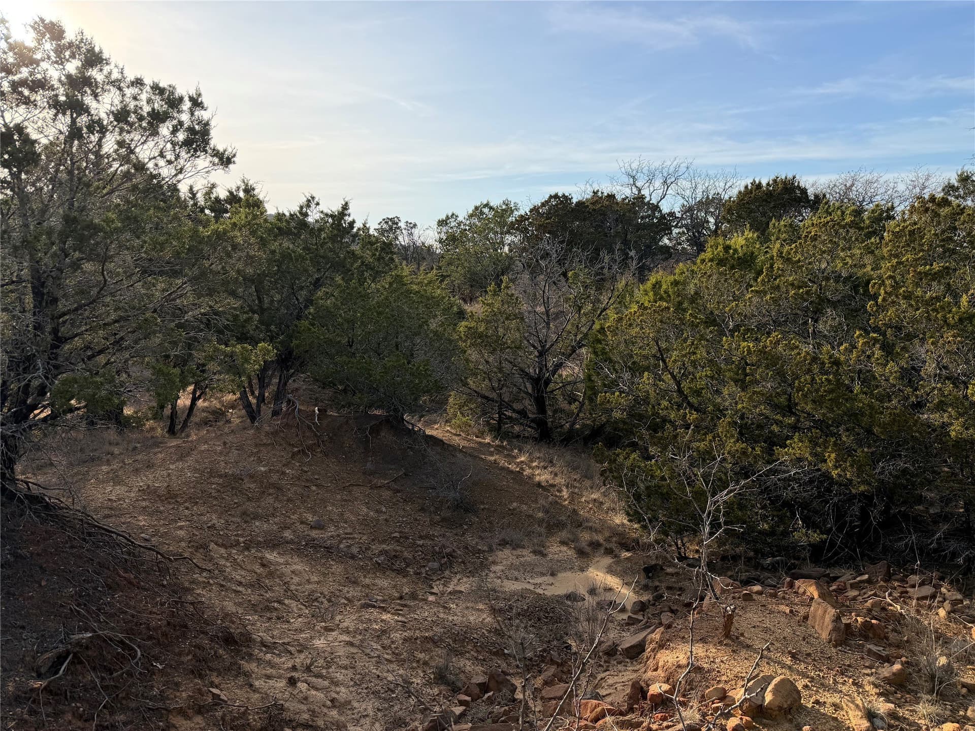 10 acres in Palo Pinto County - photo 8
