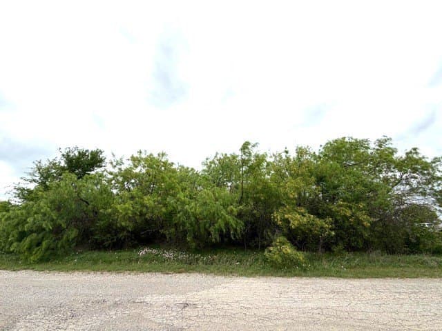 0.28 acres in Palo Pinto County - photo 4