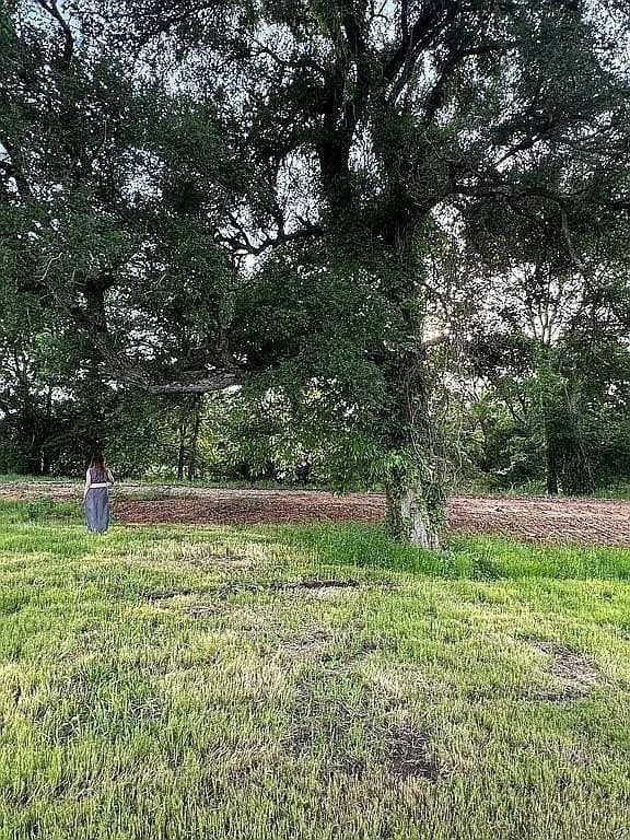 1.28 acres in Fannin County - photo 8