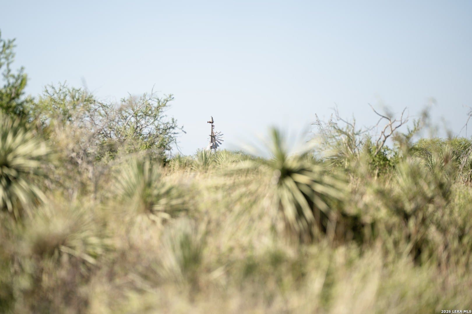 36.12 acres in Karnes County gallery image 3