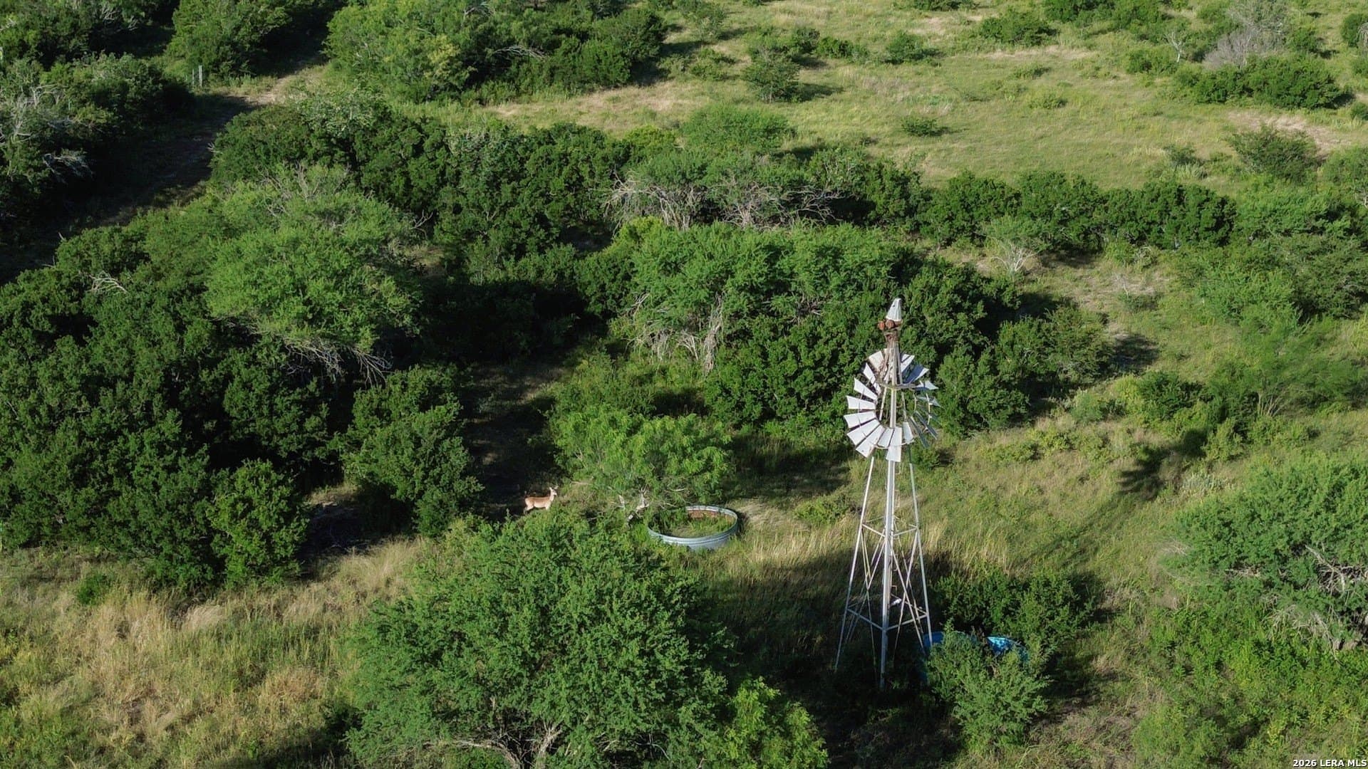 36.12 acres in Karnes County gallery image 4
