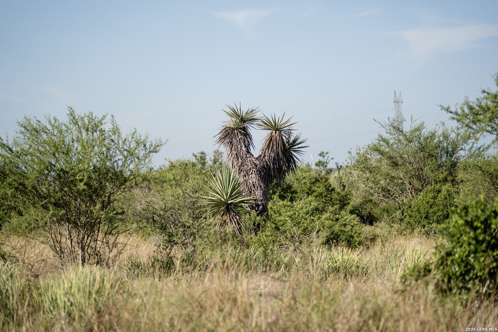 36.12 acres in Karnes County - photo 6