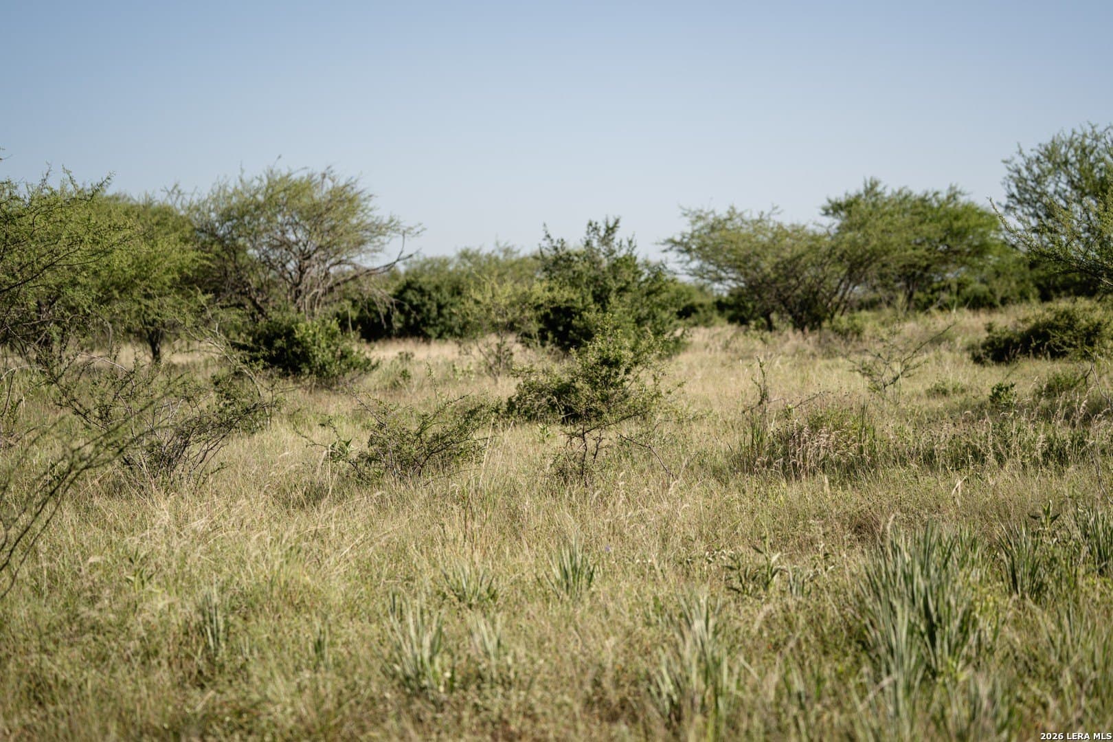 36.12 acres in Karnes County - photo 9