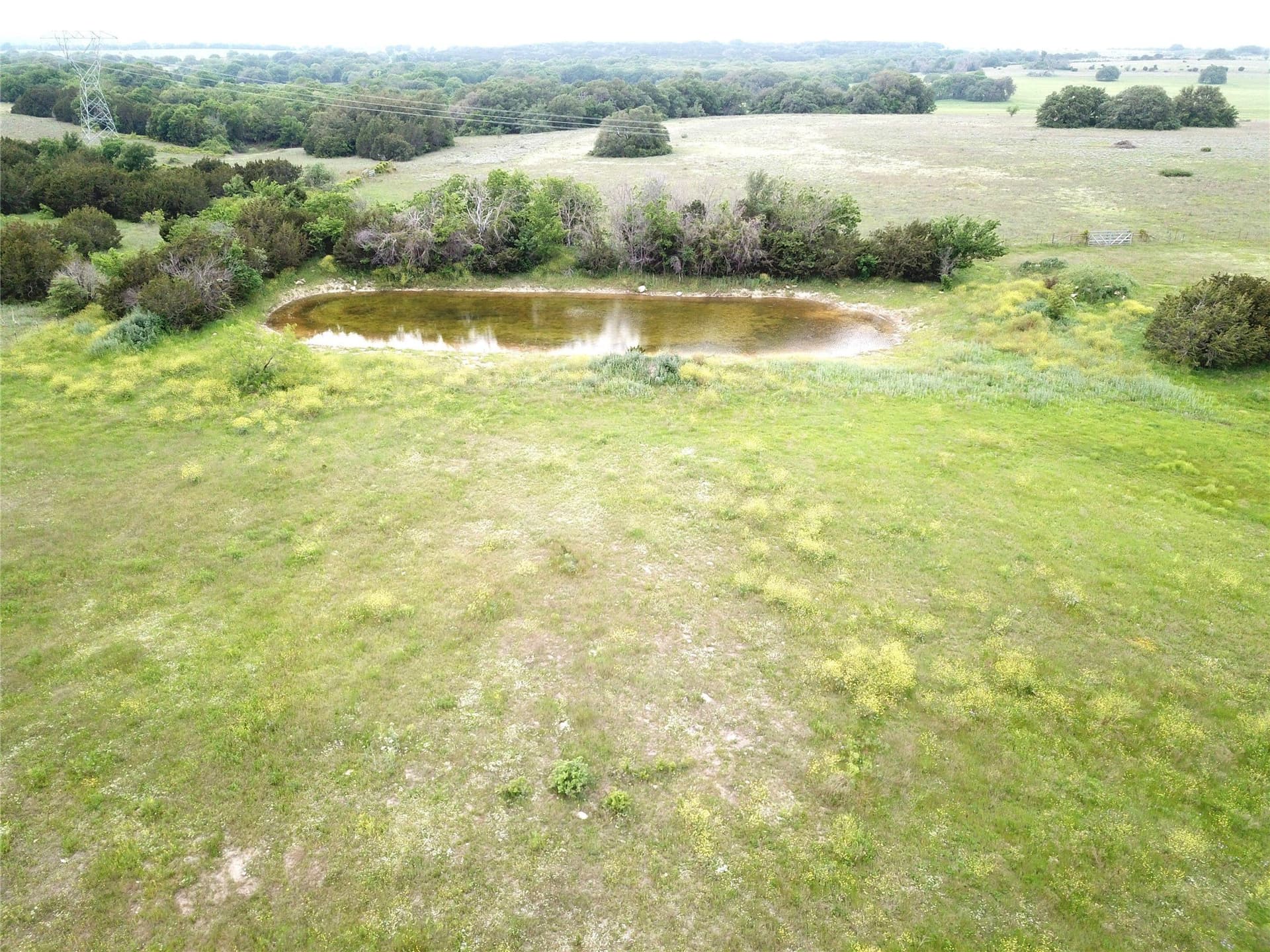 31.13 acres in Erath County - photo 5