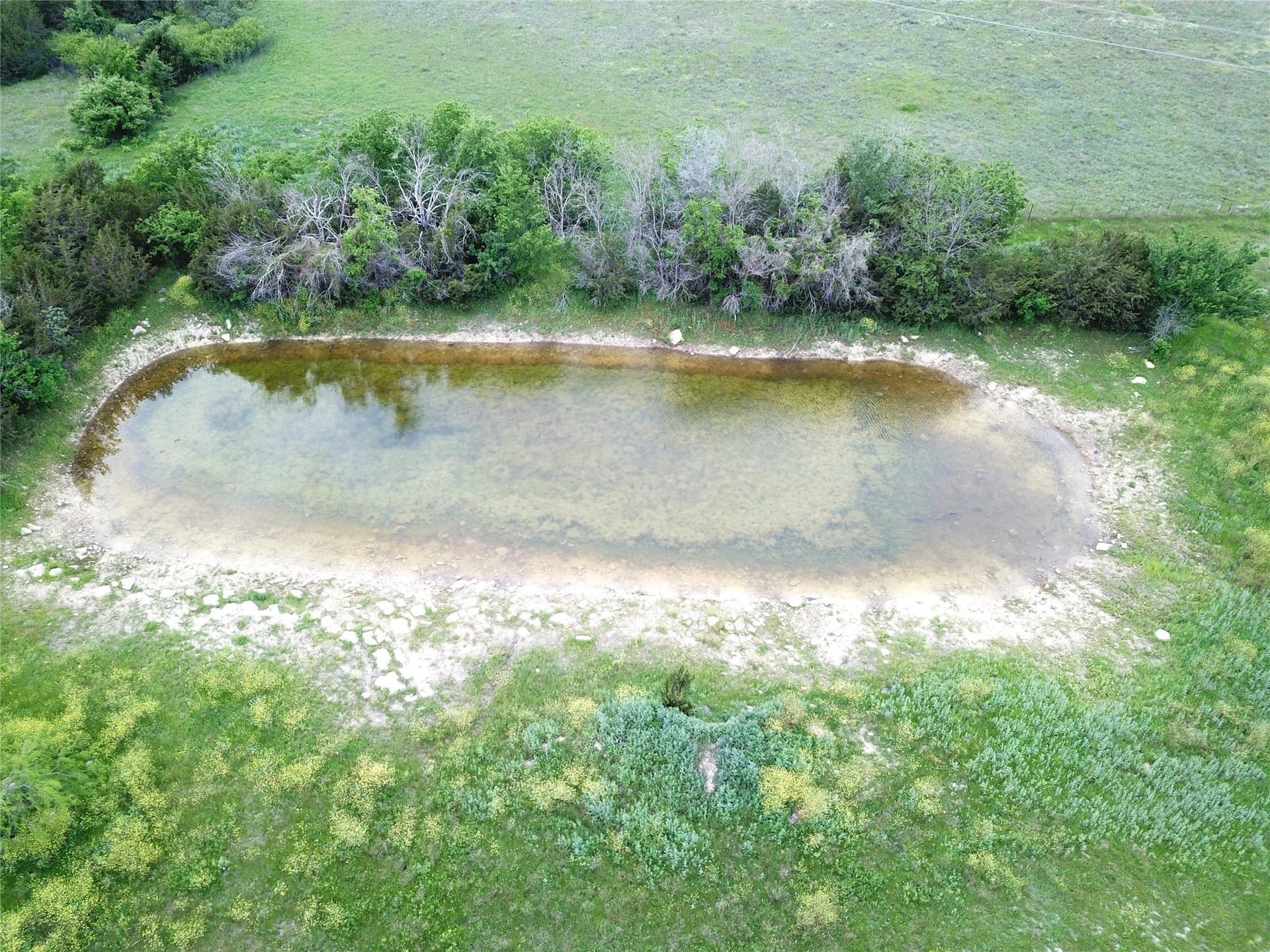 31.13 acres in Erath County - photo 4