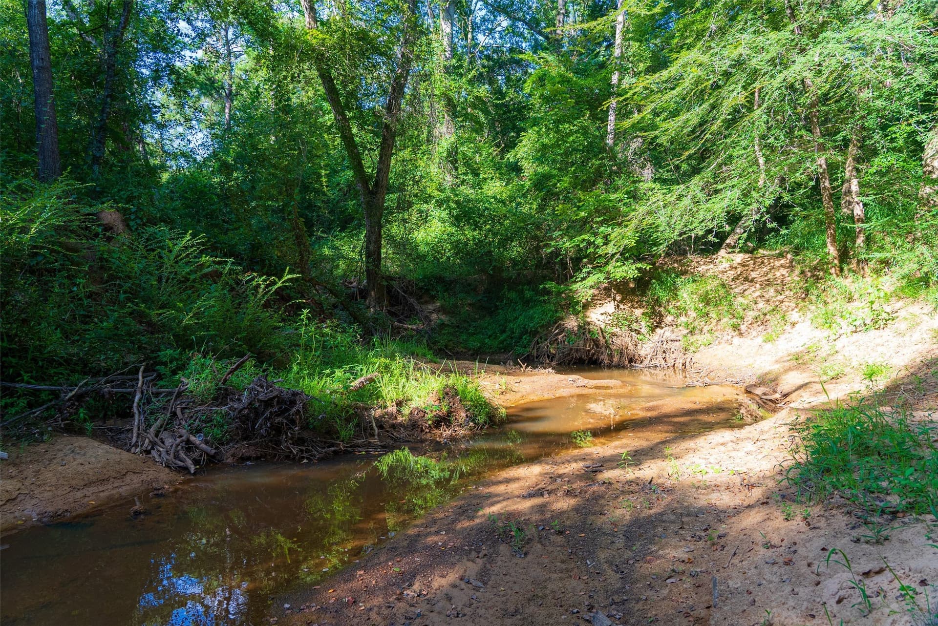 159.38 acres in Cherokee County - photo 3