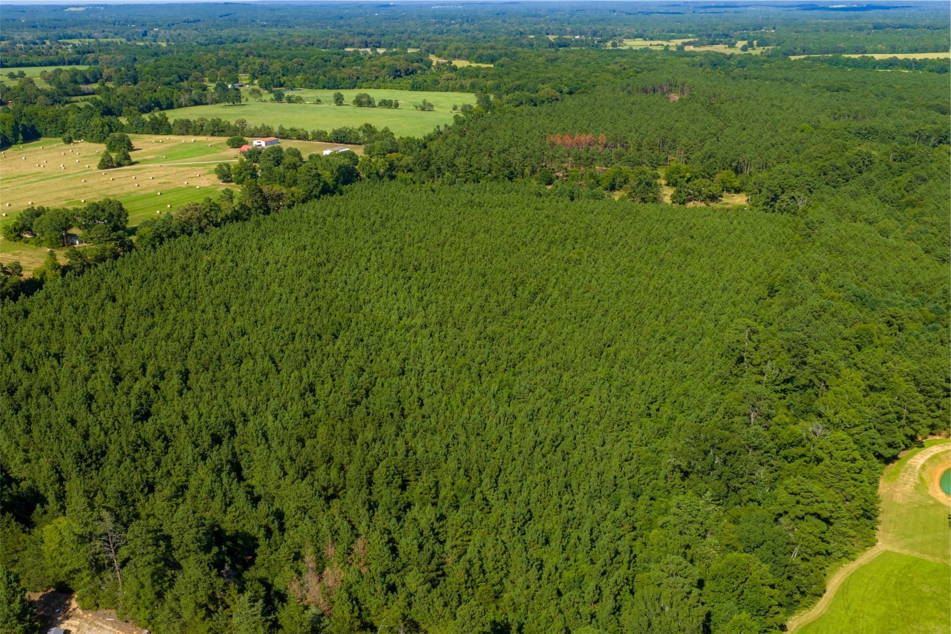 159.38 acres in Cherokee County - photo 14
