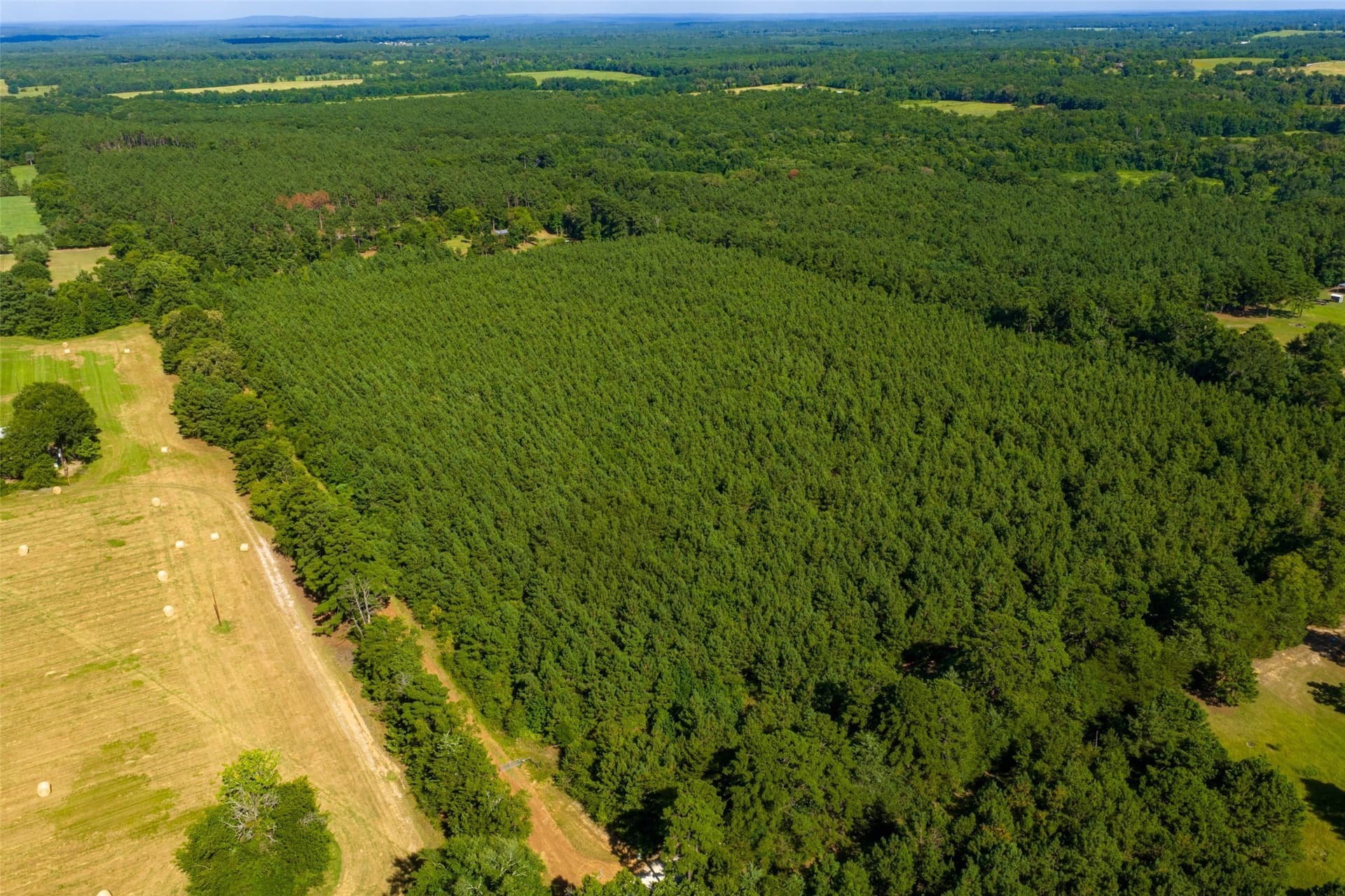 159.38 acres in Cherokee County - photo 13