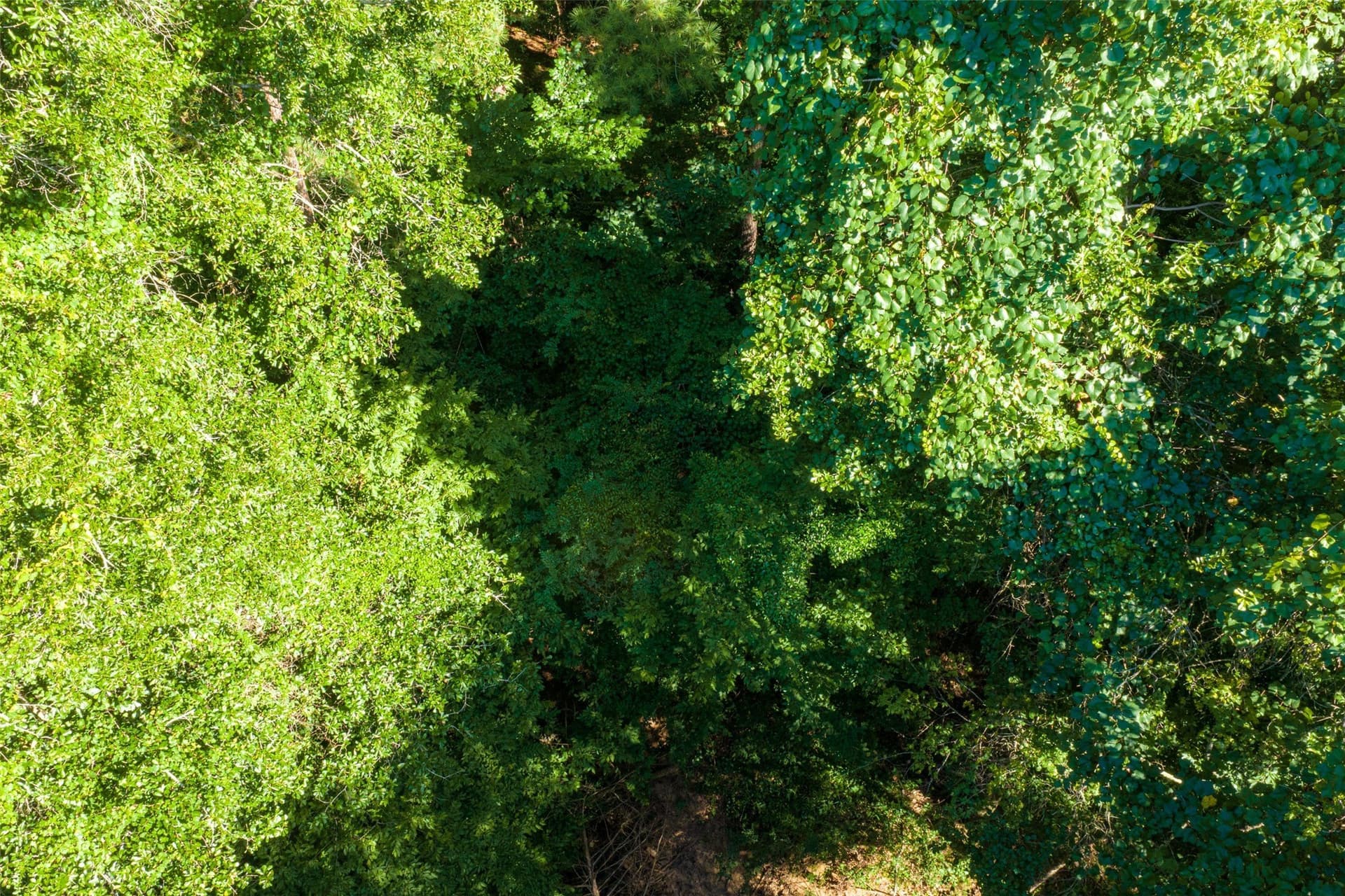 159.38 acres in Cherokee County - photo 26