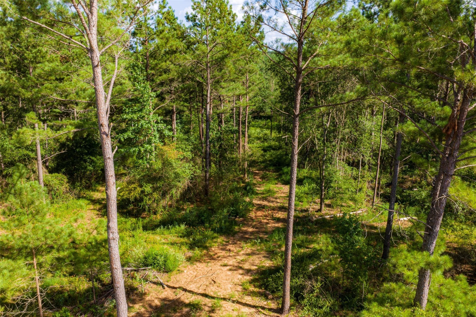 159.38 acres in Cherokee County - photo 8