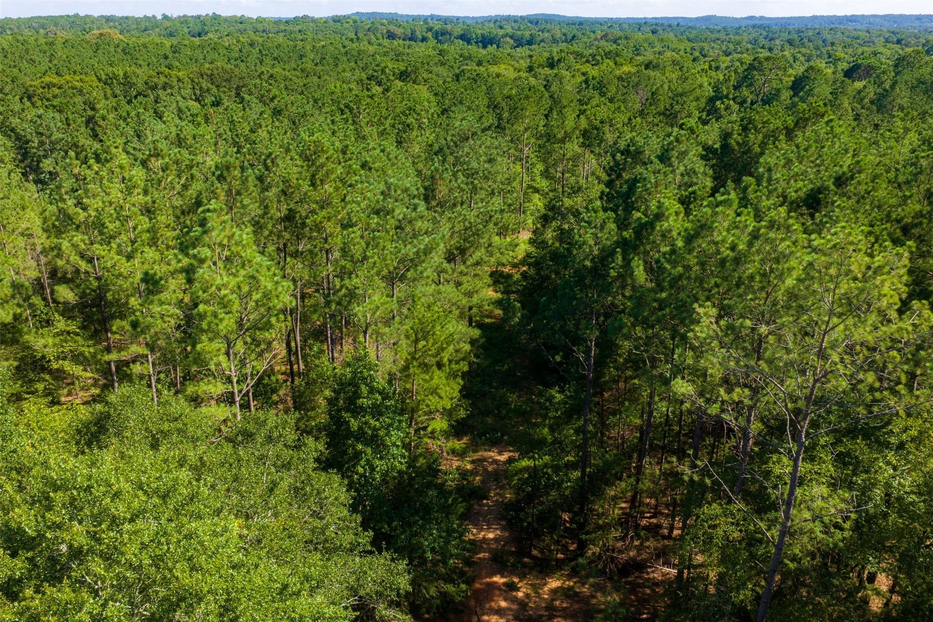 159.38 acres in Cherokee County - photo 17