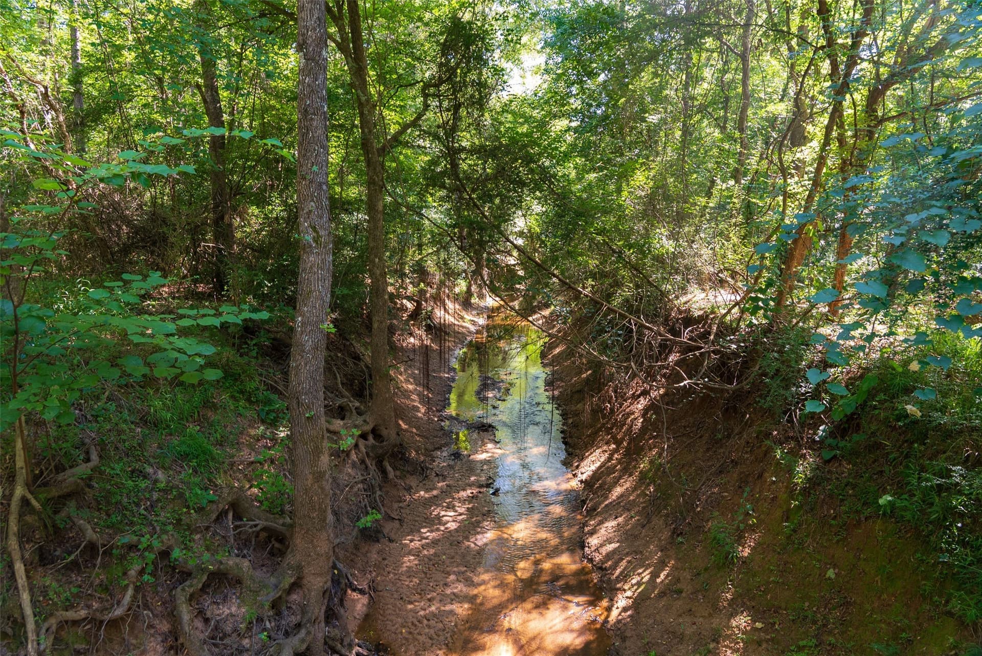159.38 acres in Cherokee County - photo 4