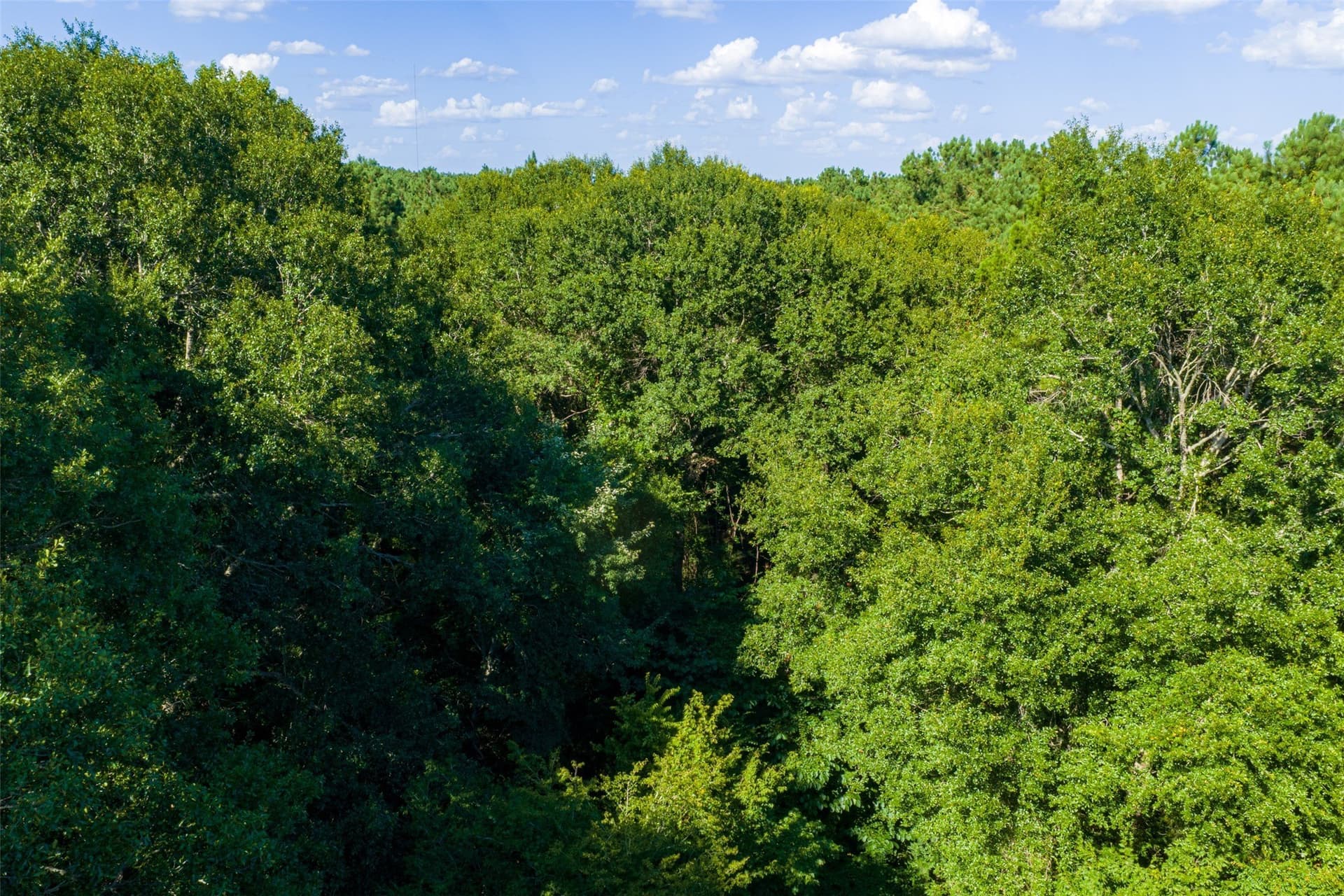 159.38 acres in Cherokee County - photo 27
