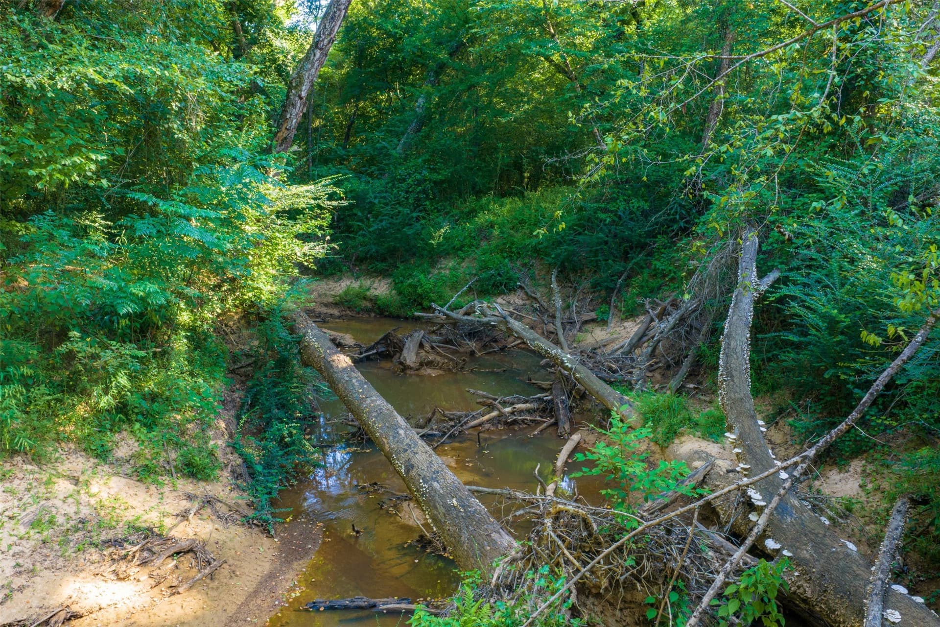 159.38 acres in Cherokee County - photo 11
