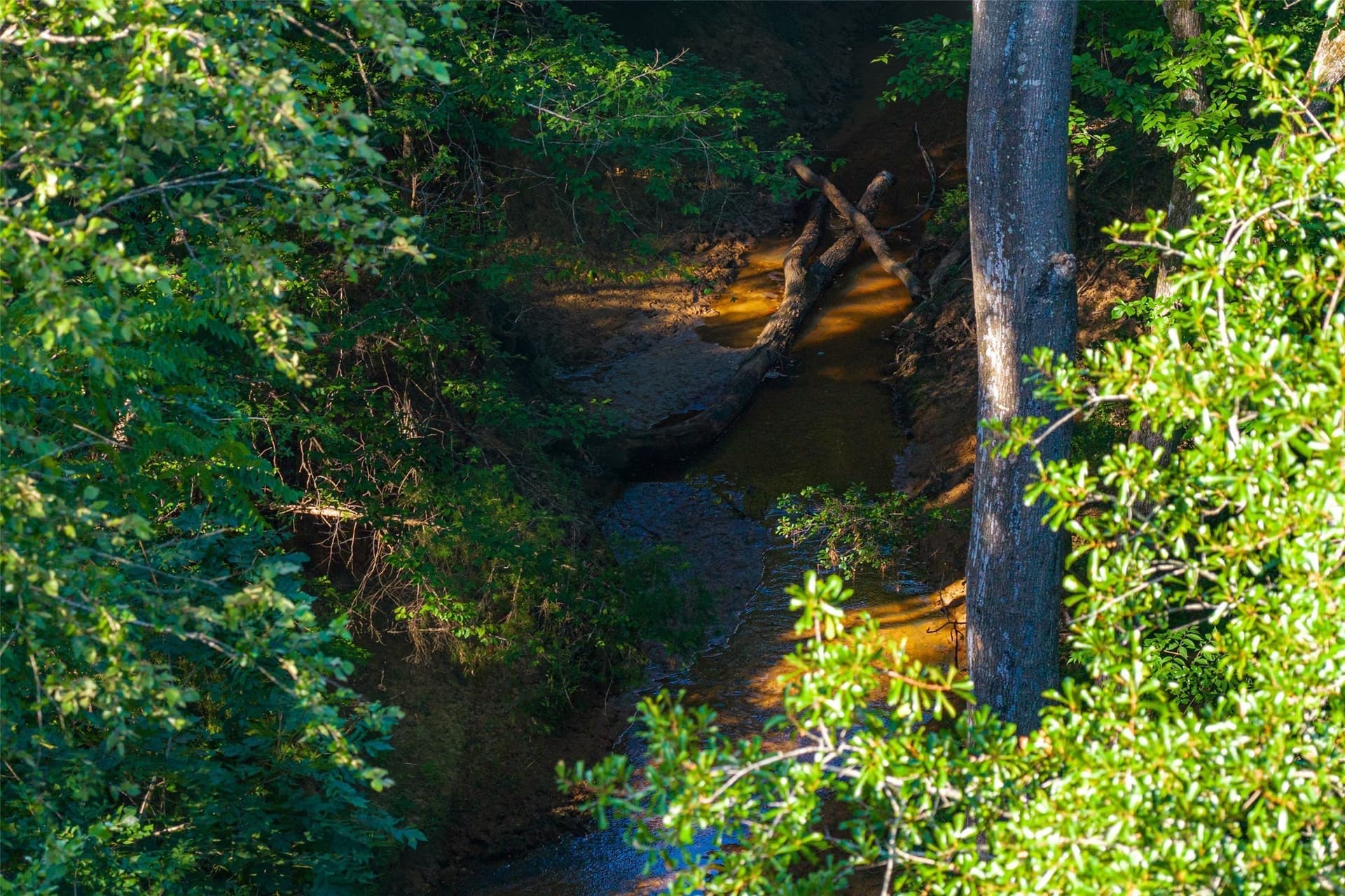 159.38 acres in Cherokee County - photo 33