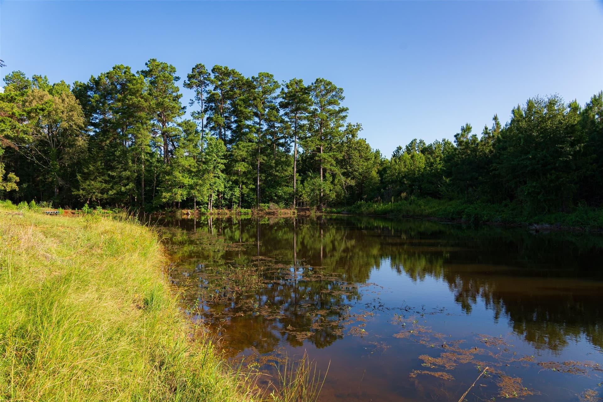 159.38 acres in Cherokee County - photo 31