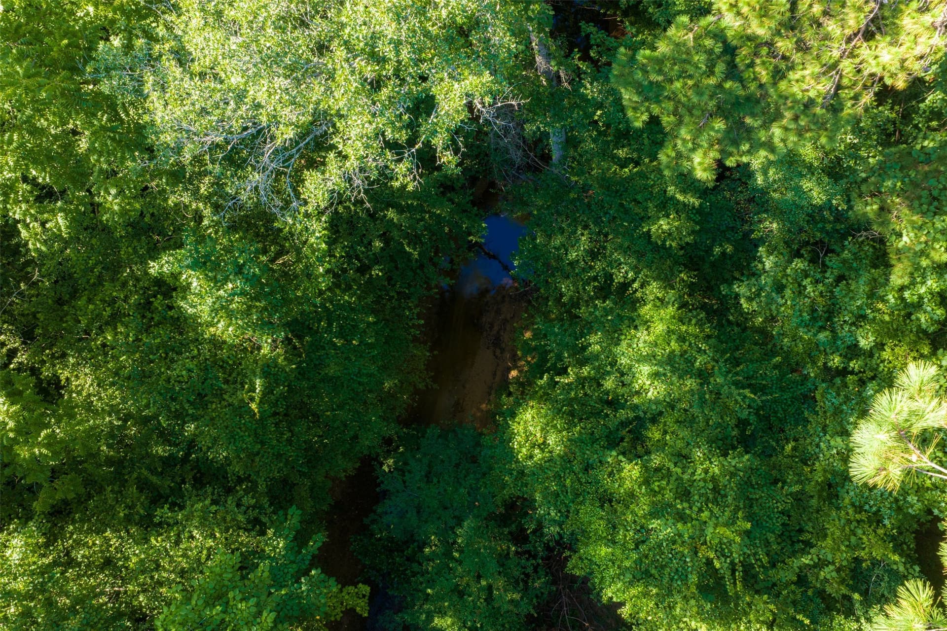 159.38 acres in Cherokee County - photo 21
