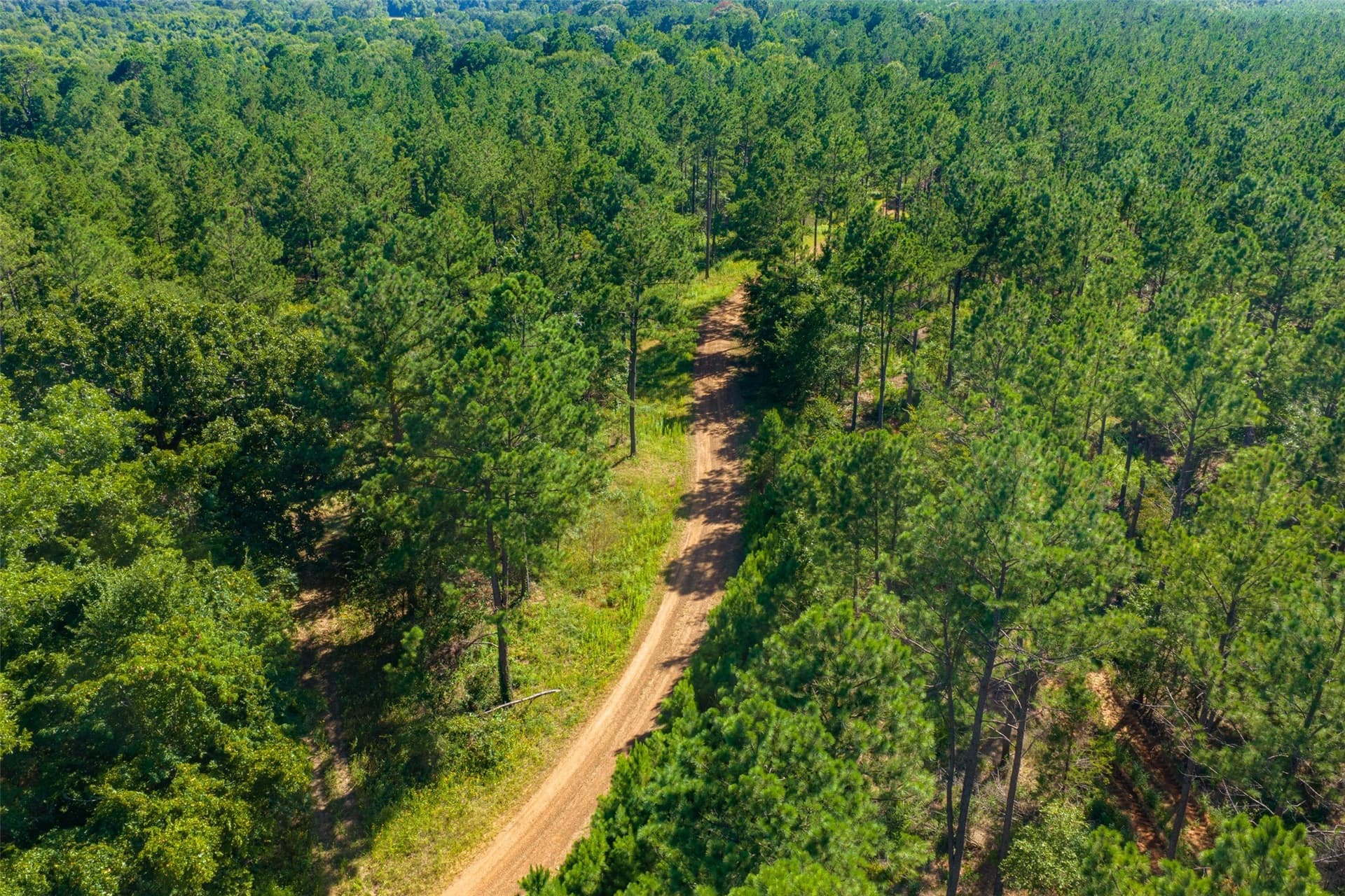 159.38 acres in Cherokee County - photo 15
