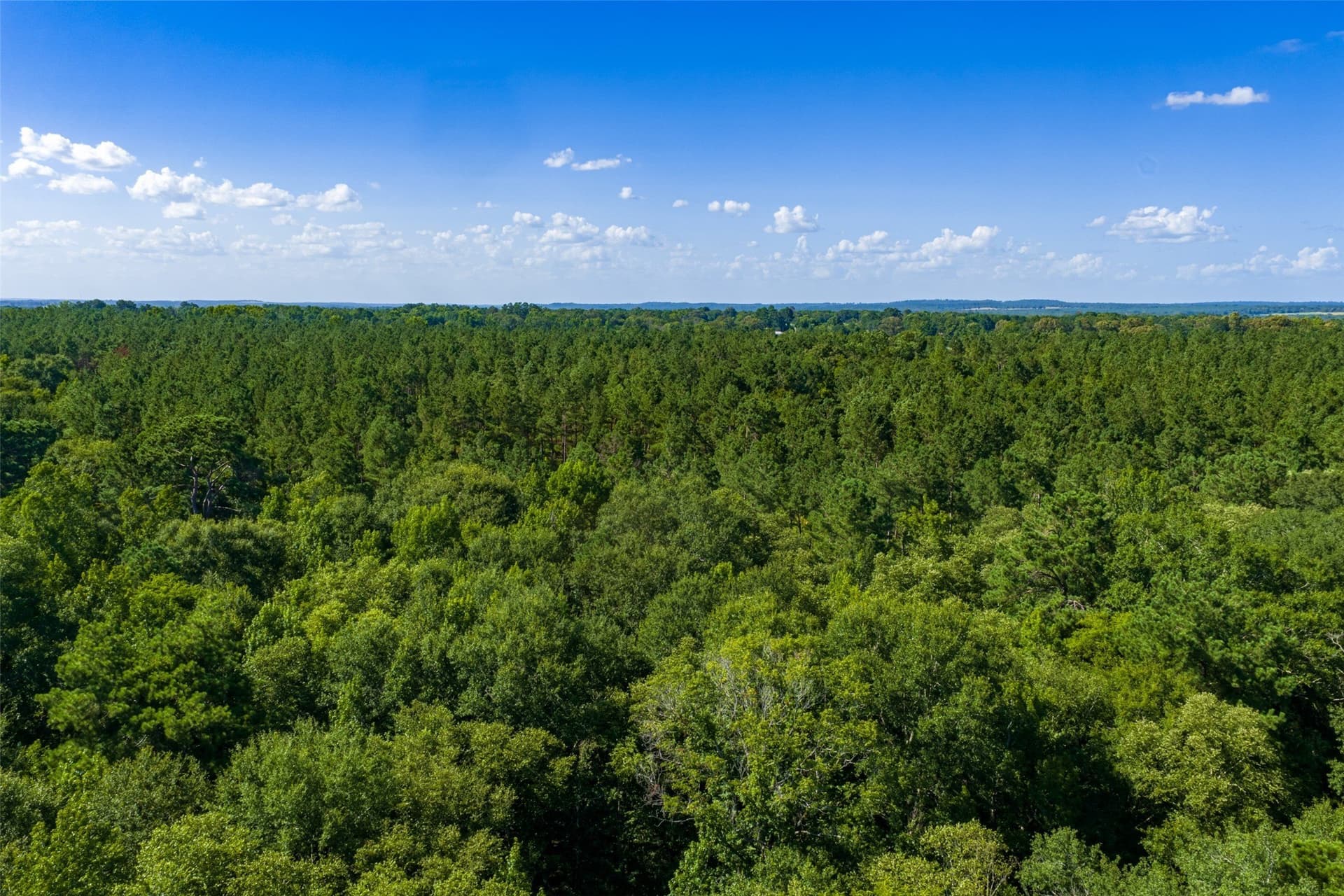 159.38 acres in Cherokee County - photo 16