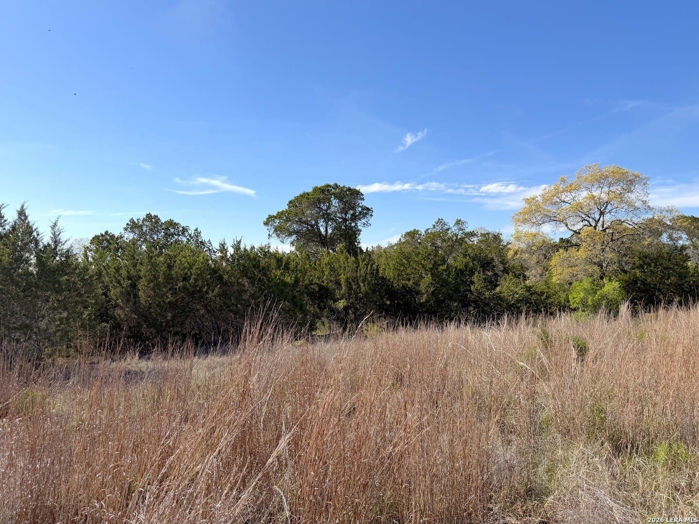 1.1 acres in Comal County - photo 13