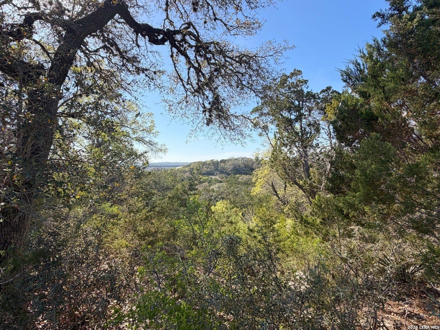 1.1 acres in Comal County featured view