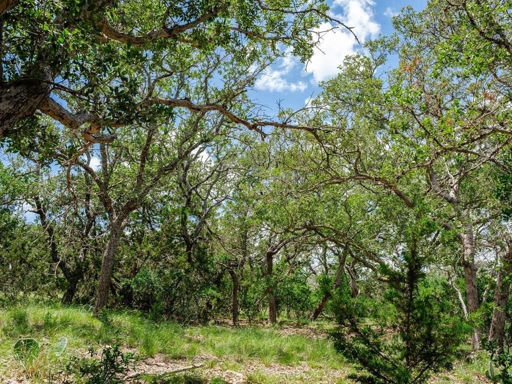 50 acres in Gillespie County