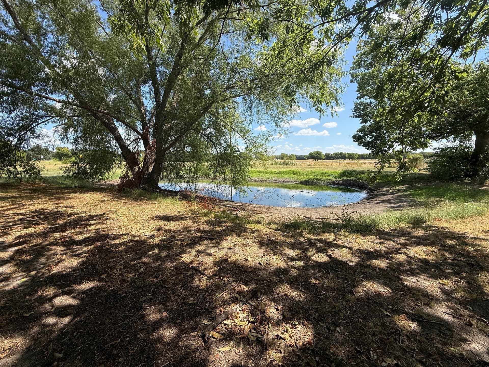 14.5 acres in Fannin County - photo 5