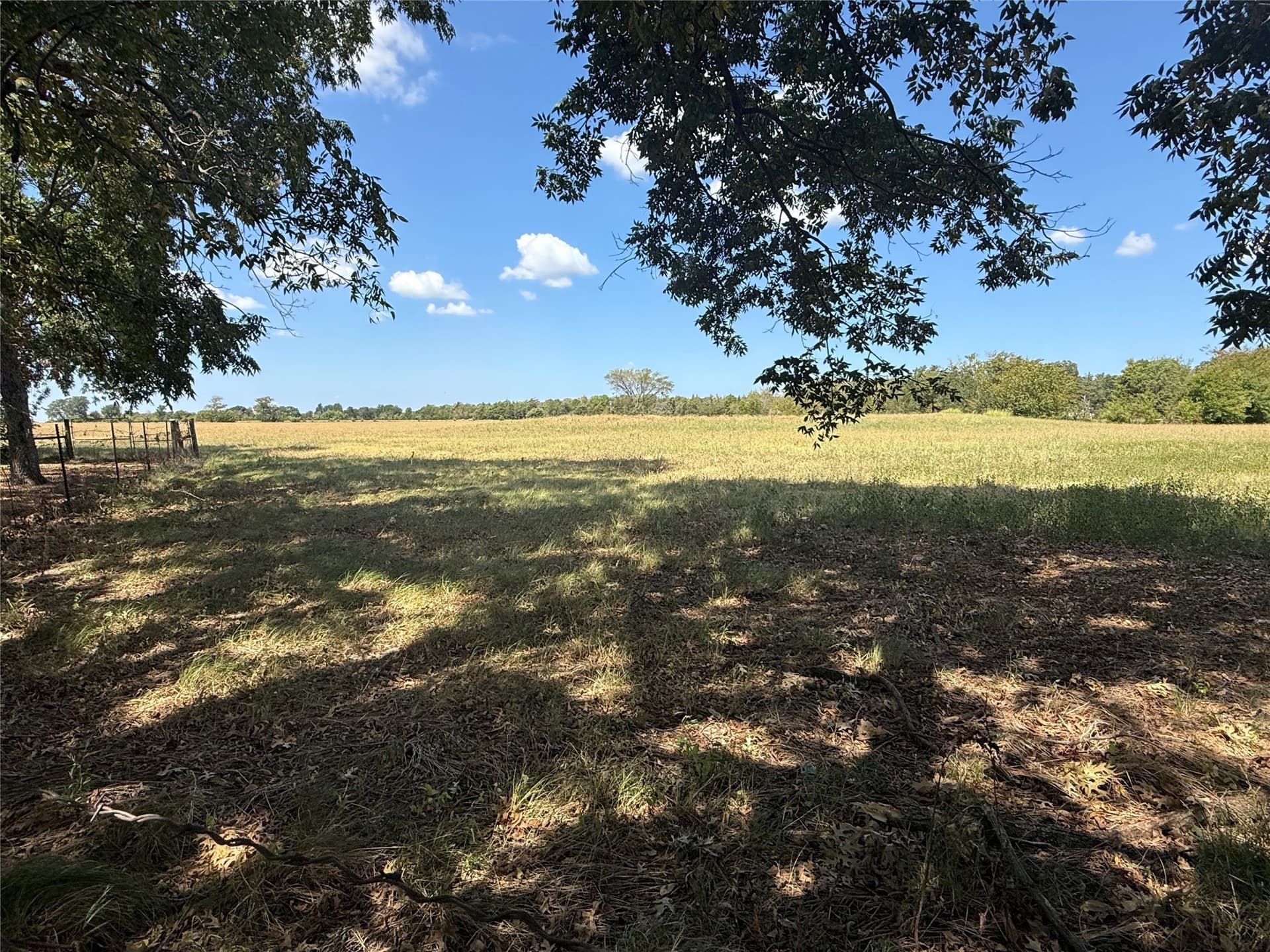14.5 acres in Fannin County - photo 8