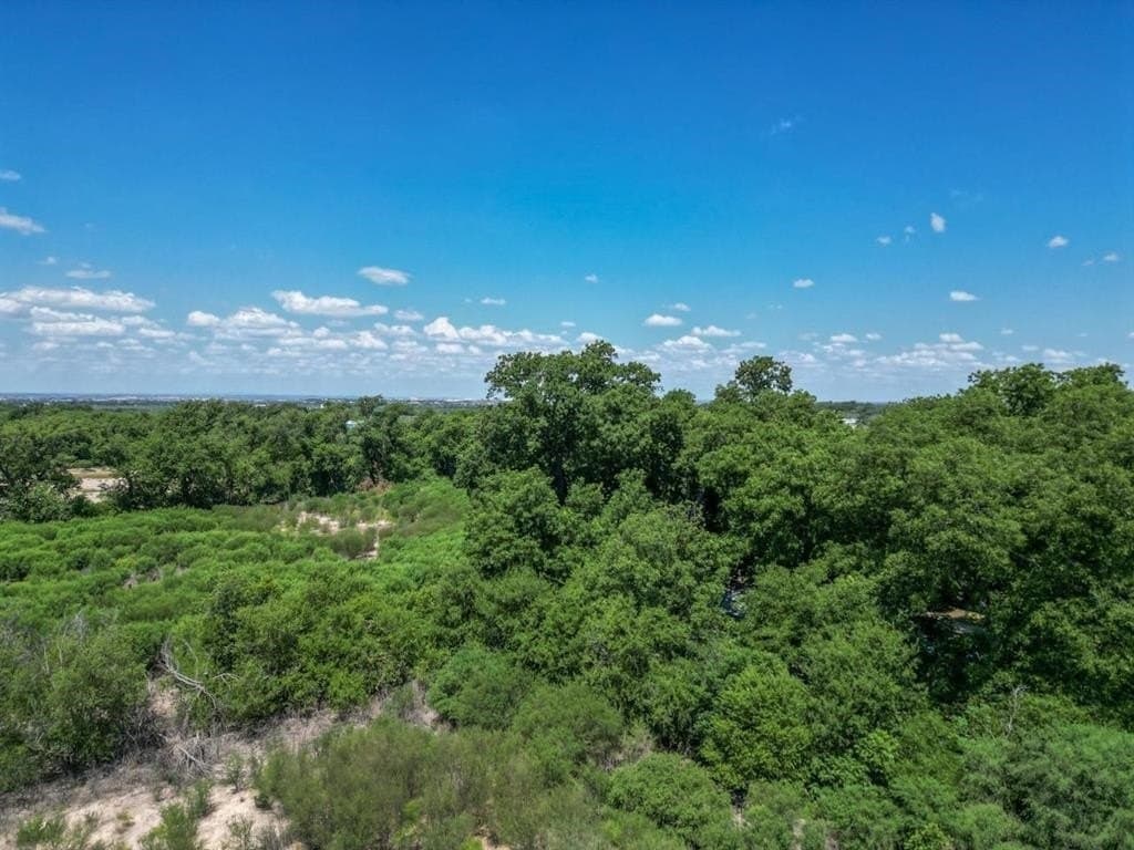 15.68 acres in Val Verde County gallery image 4