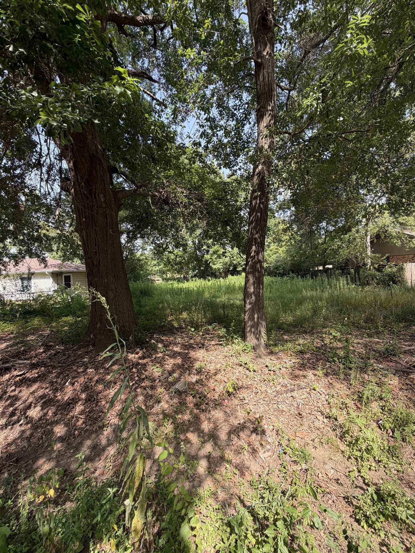 0.29 acres in Texas County gallery image 3