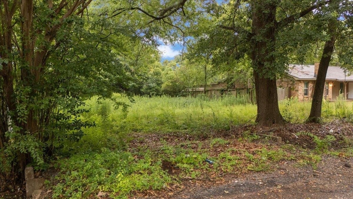0.29 acres in Texas County - photo 8
