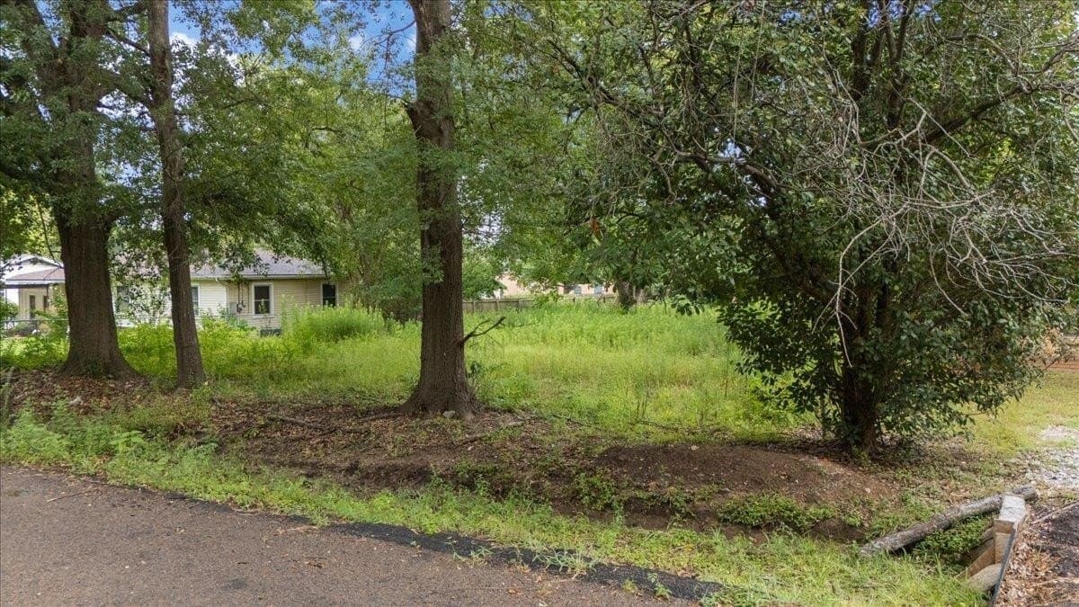 0.29 acres in Texas County - photo 10