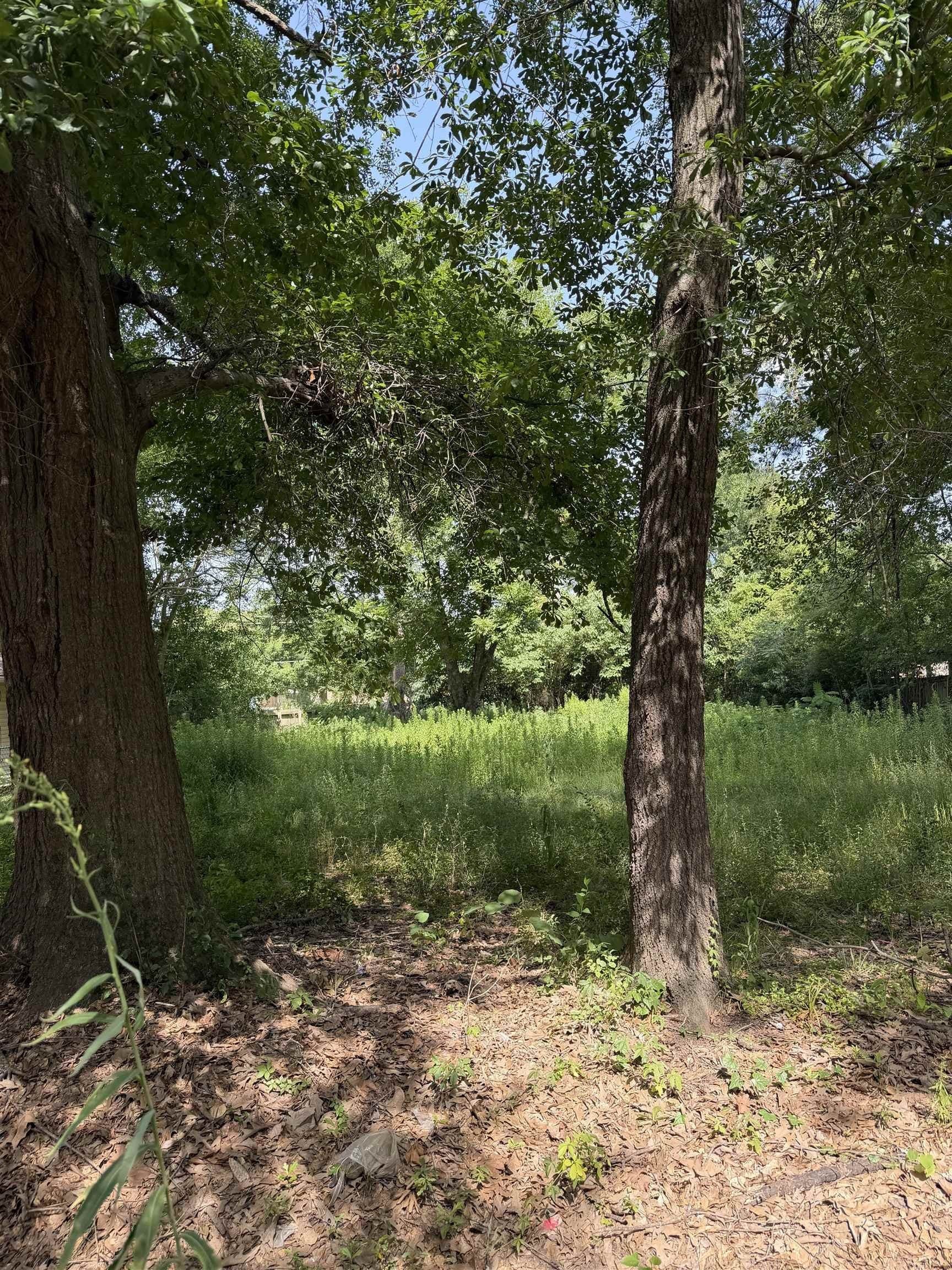 0.29 acres in Texas County gallery image 2