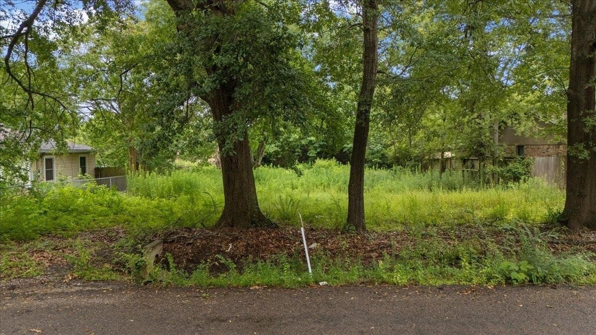 0.29 acres in Texas County - photo 9