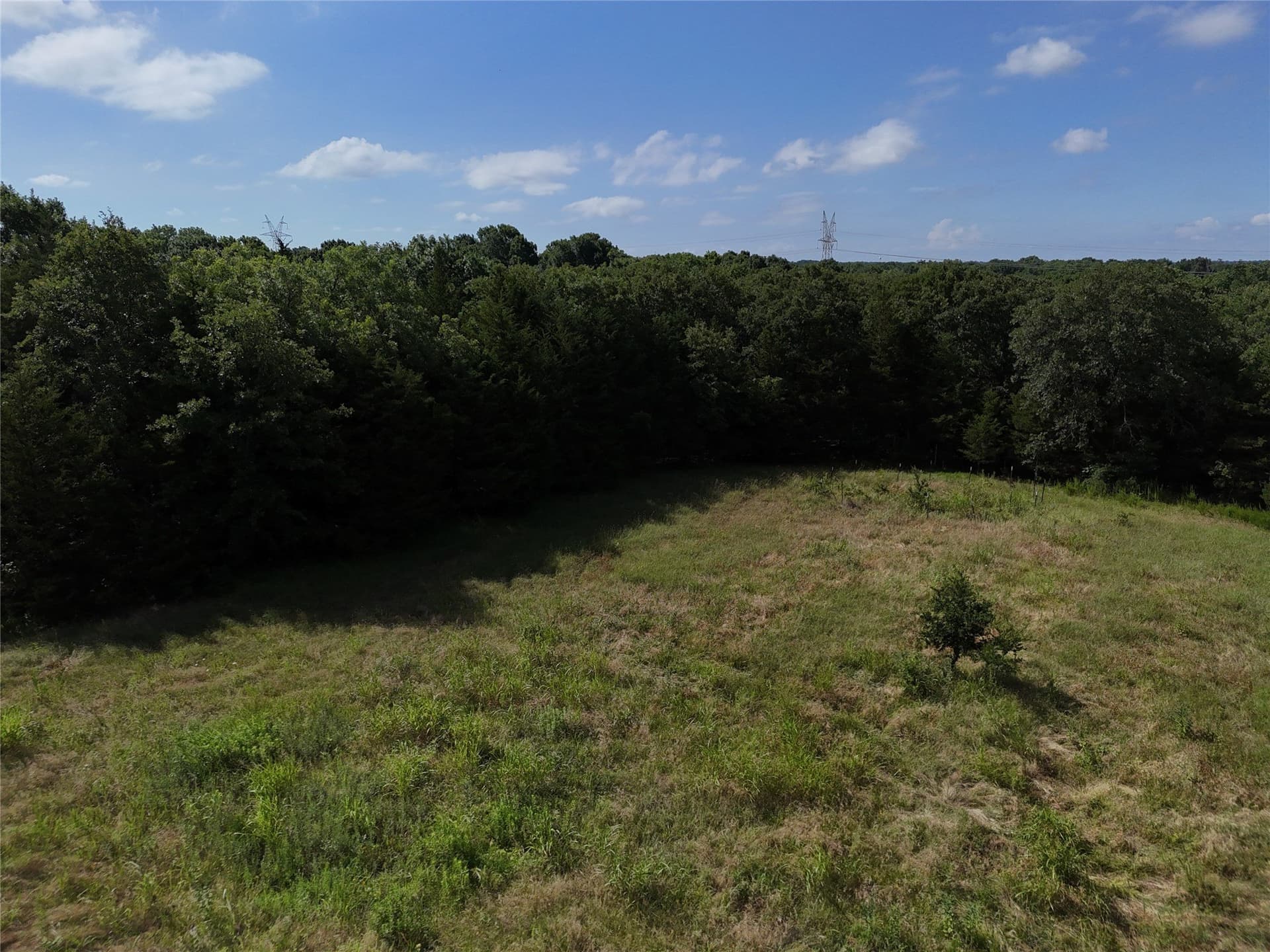 17 acres in Fannin County - photo 2