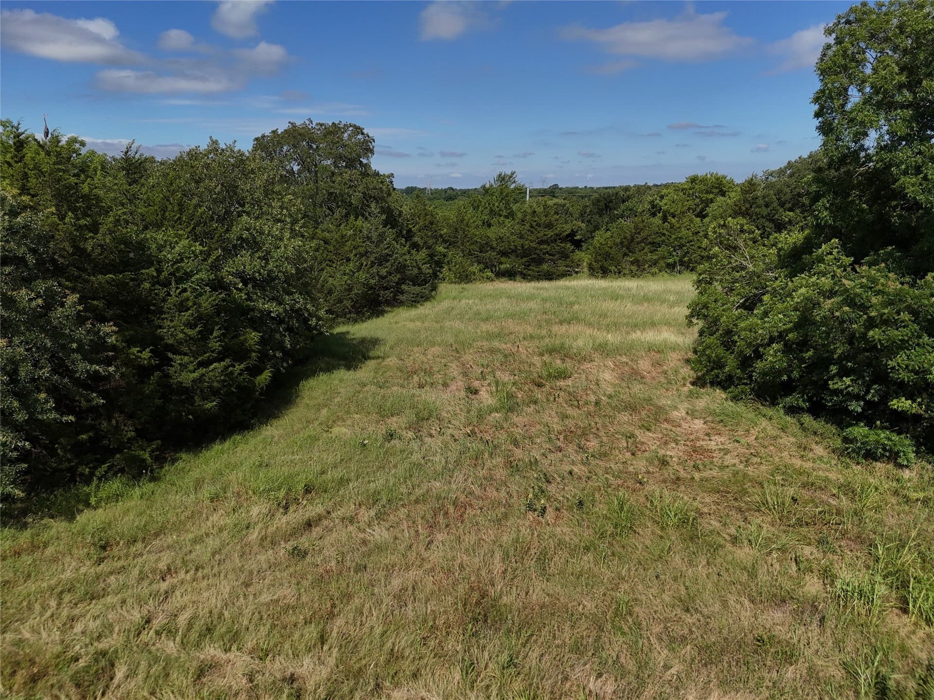 17 acres in Fannin County - photo 6