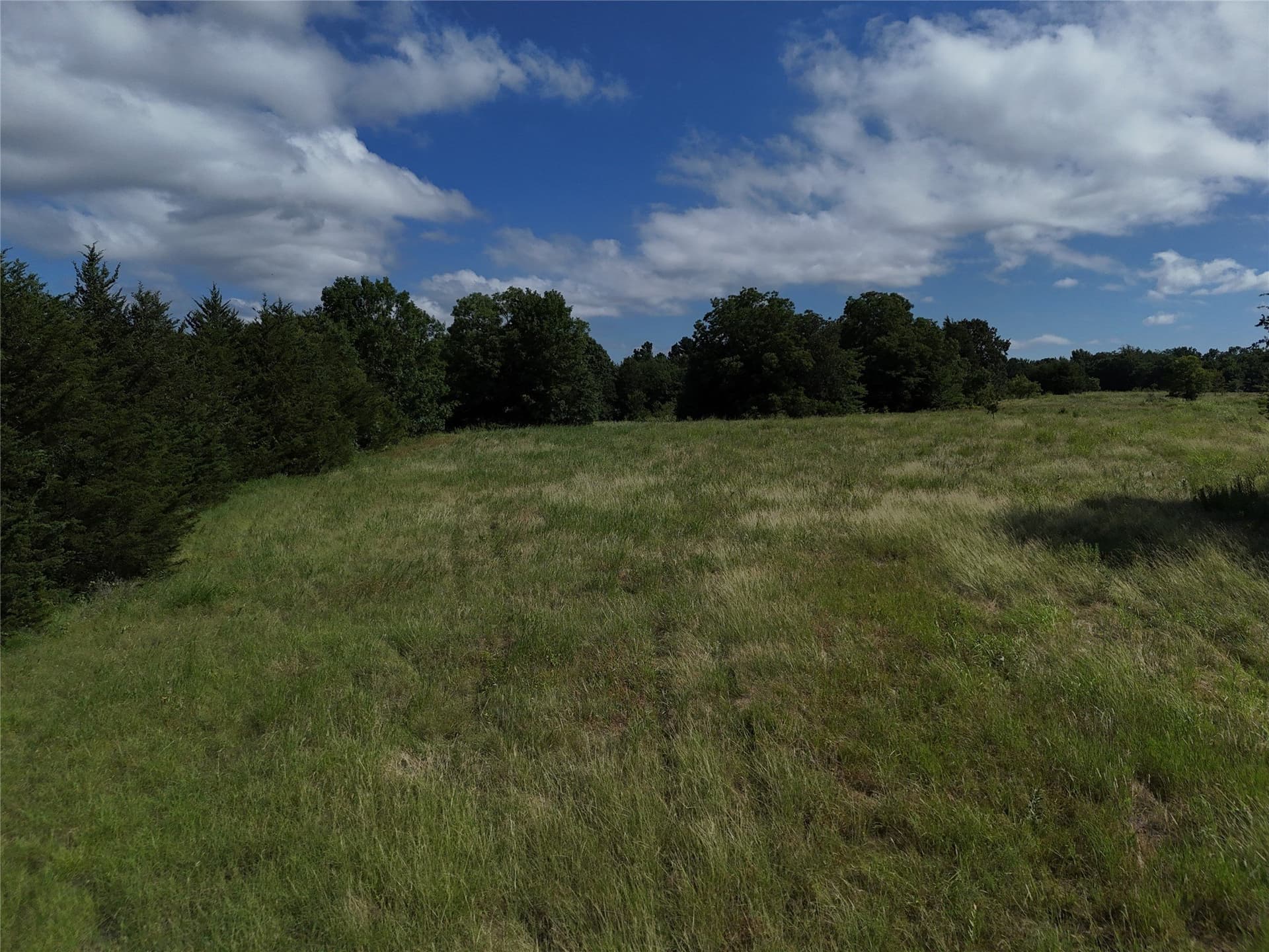 17 acres in Fannin County - photo 8