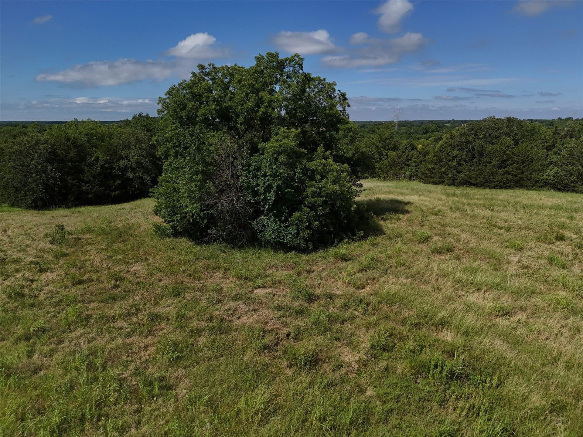17 acres in Fannin County - photo 5