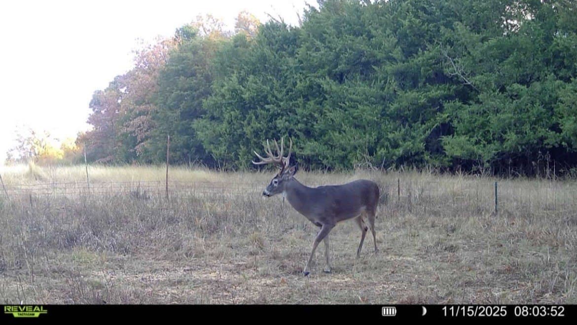 17 acres in Fannin County - photo 7
