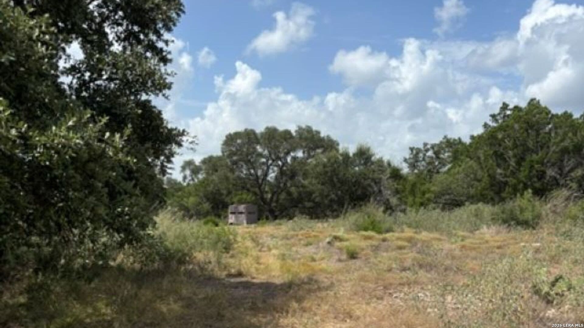 53.36 acres in Medina County - photo 17