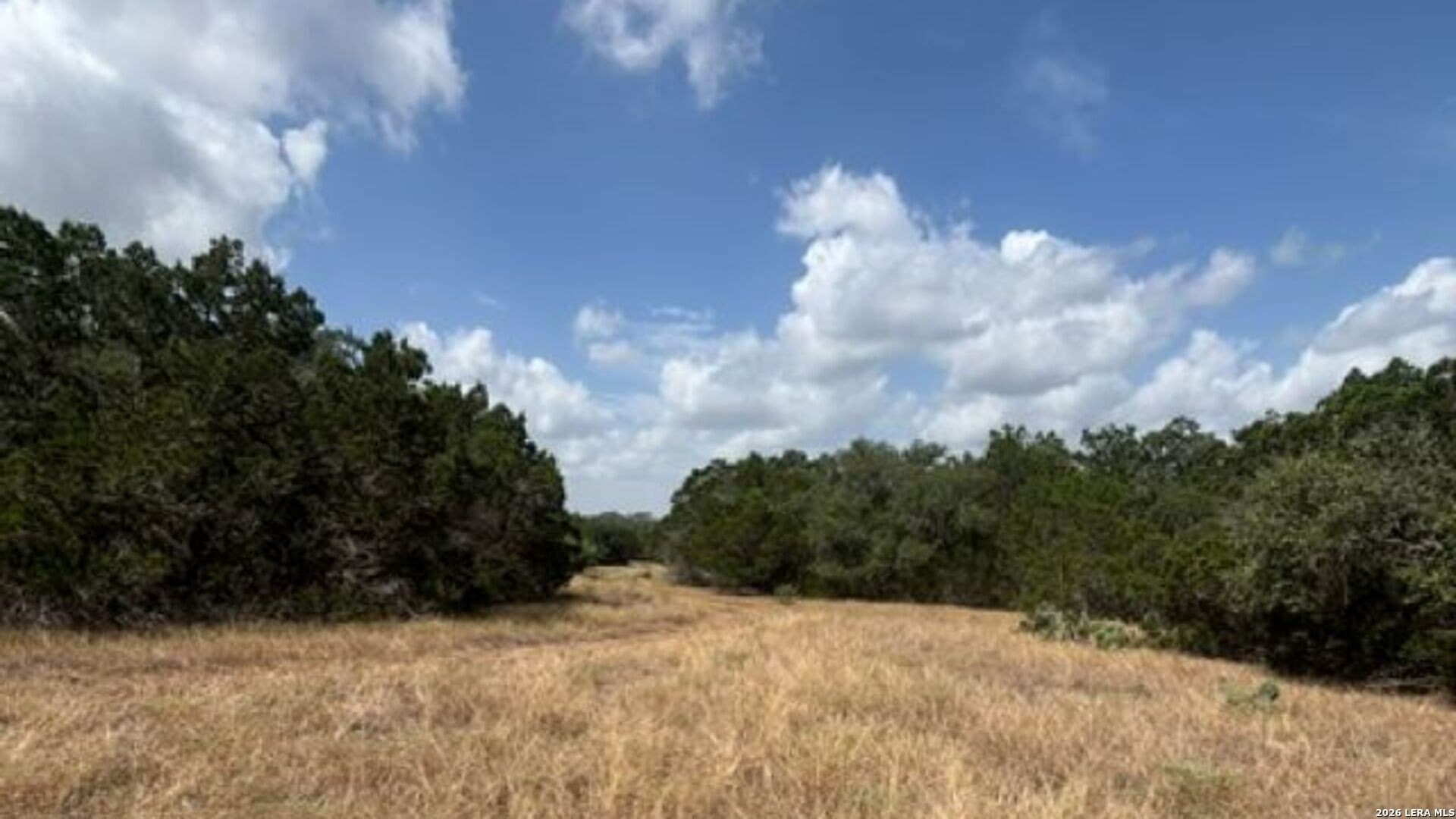 53.36 acres in Medina County - photo 14