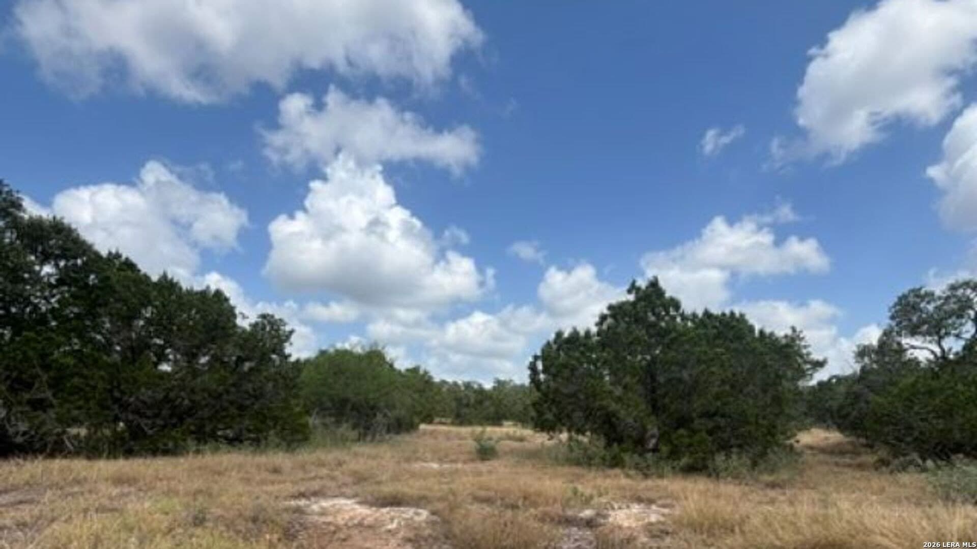53.36 acres in Medina County - photo 15