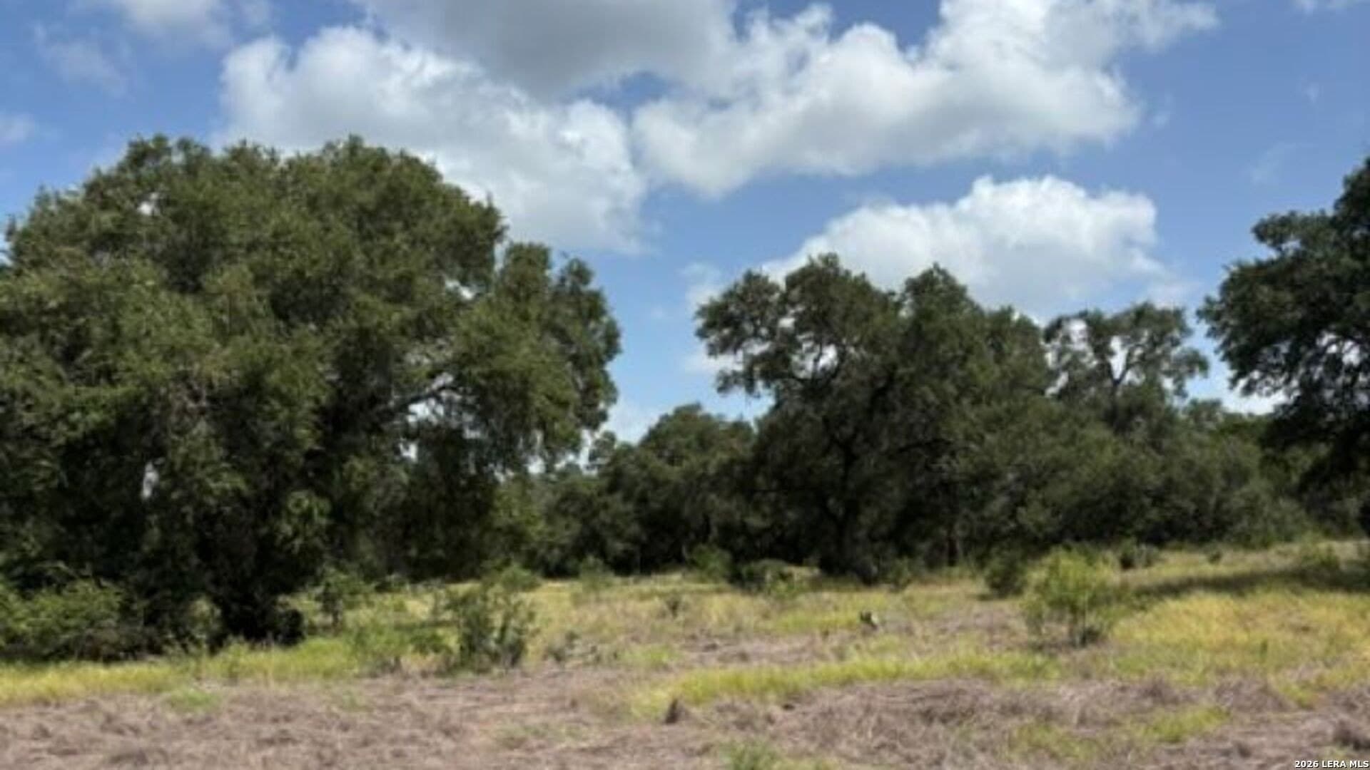 53.36 acres in Medina County - photo 8