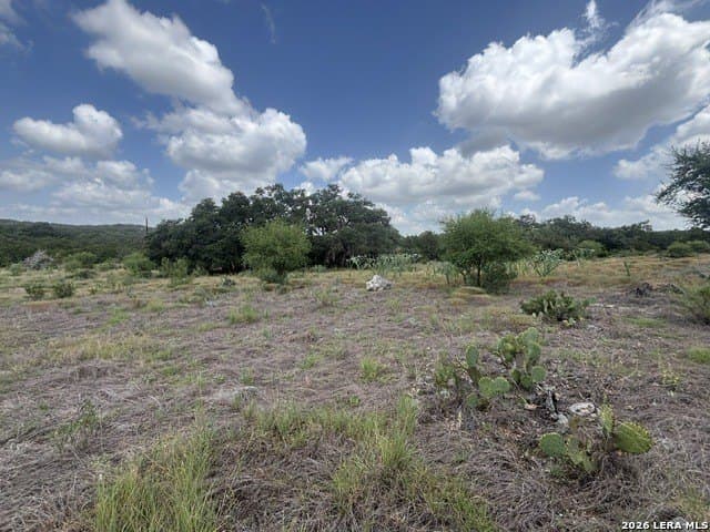 53.36 acres in Medina County - photo 19